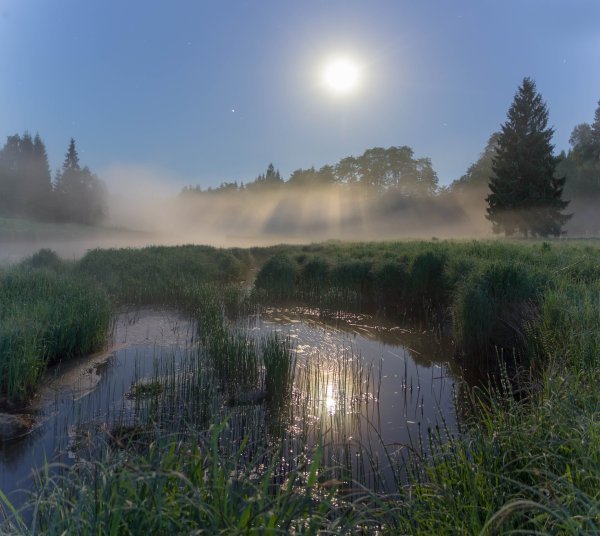 Ночной пейзаж гуашью