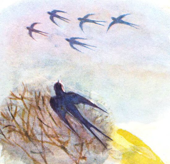 Ласточки улетают