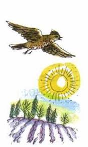 Василий Жуковский Жаворонок стихотворение