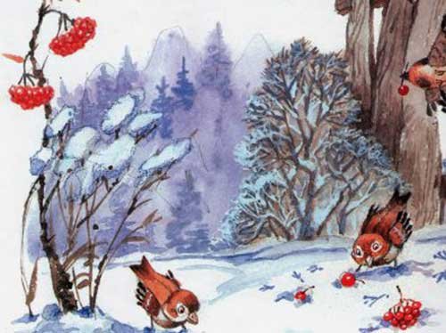 Иллюстрация к стихотворению есенина поет зима аукает (48 фото)