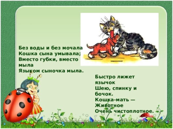 Валентин Берестов Кошкин щенок