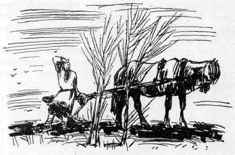 Творчество пахаря Кольцов