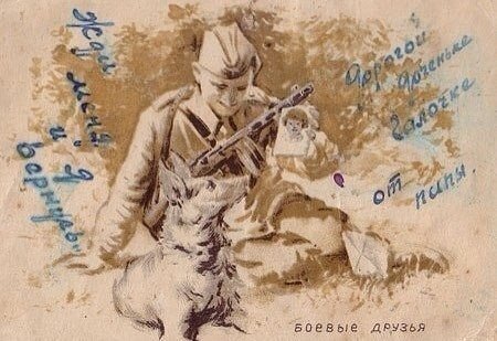 Жди меня и я вернусь