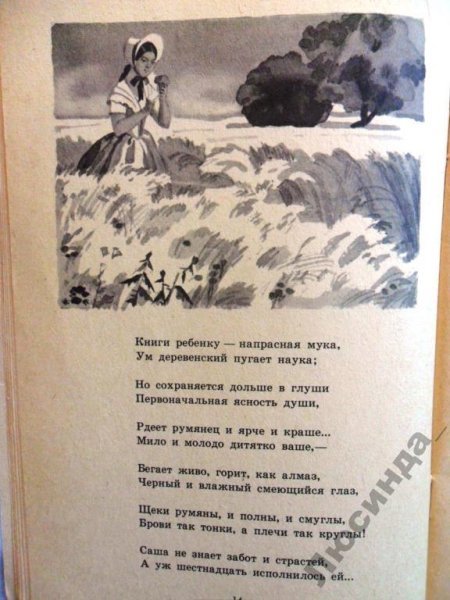 Н.Н.Некрасов Саша