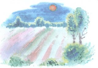 Рисунок к стихотворению летний вечер