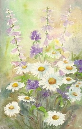 Альбом для раскрашивания полевые цветы