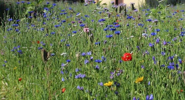 Художник Арсенюк Юрий Михайлович