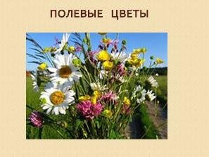 Рисование букет полевых цветов карандашами