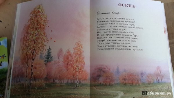 Чинара Лермонтова листок