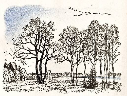 Иллюстрация к стиху уж небо осенью дышало