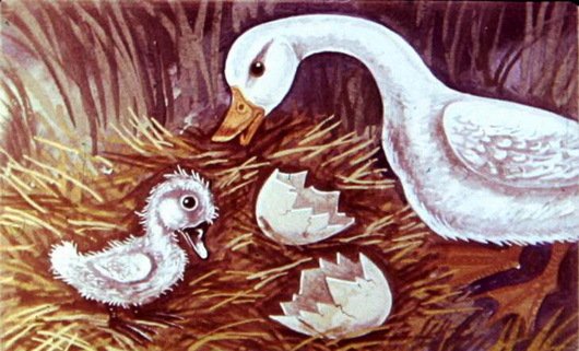 Произведения Андерсена Гадкий утенок