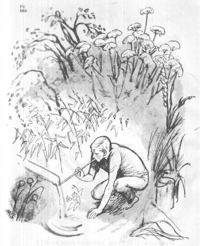 Анатолий Алексин в тылу как в тылу