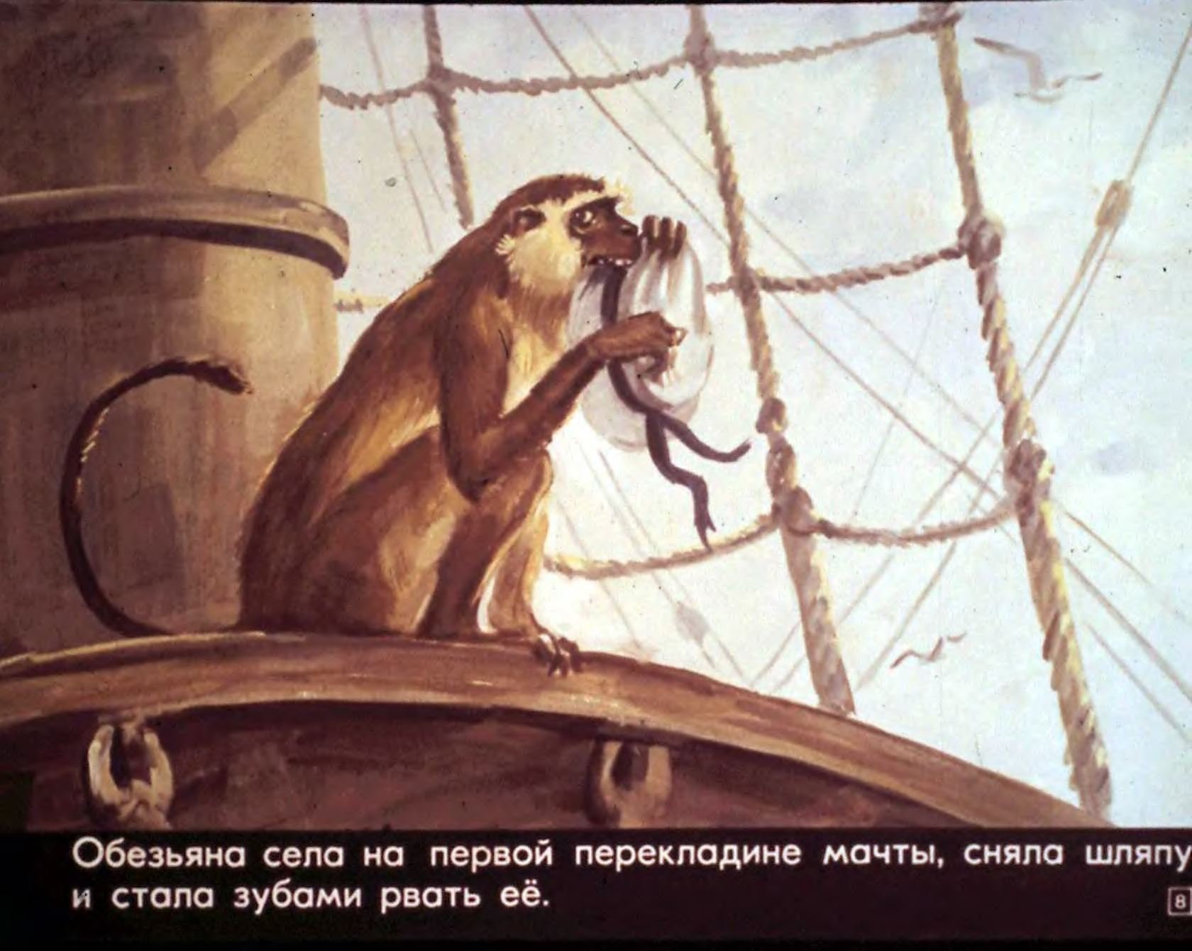 Корабль обезьян. Прыжок Лев толстой обезьяна. Л Н толстой прыжок. Лев Николаевич толстой прыжок. Диафильм прыжок толстой.