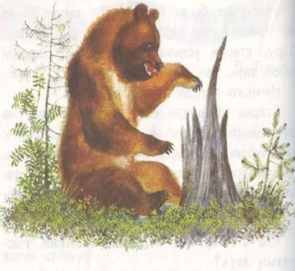 Сказка музыкант Бианки