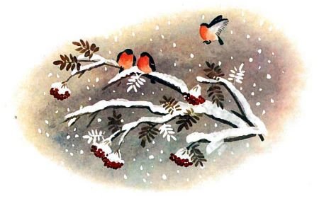 Николай Некрасов снежок иллюстрация