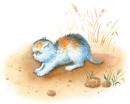 Лев Николаевич толстой коте