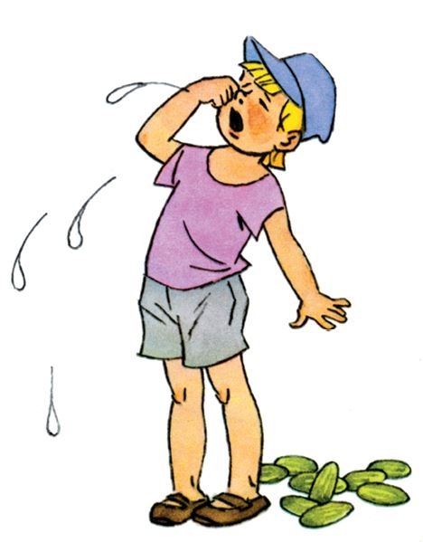 Н Носов огурцы