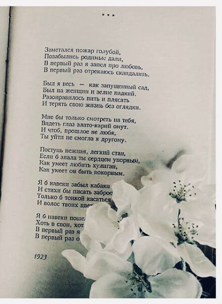 Стихотворение Есенин заметался пожар