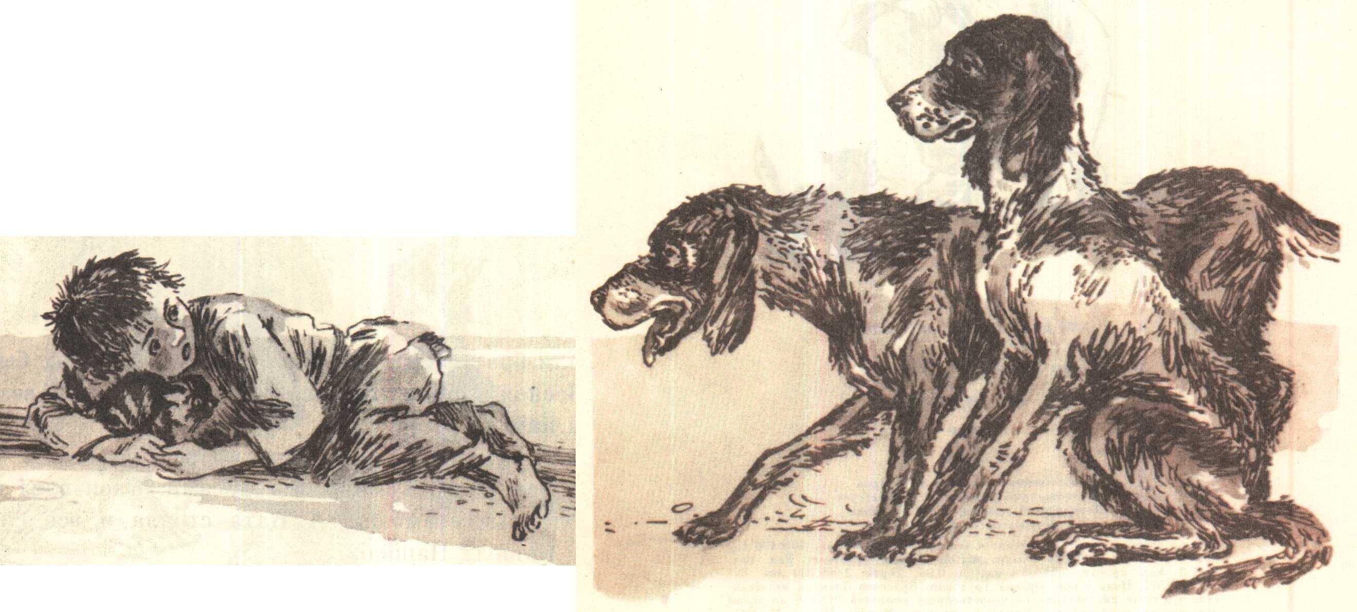 Иллюстрации к рассказу котенок Льва Николаевича Толстого