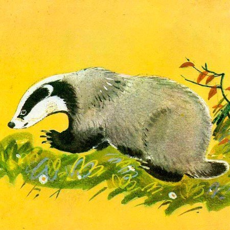 К. Паустовский "барсучий нос"