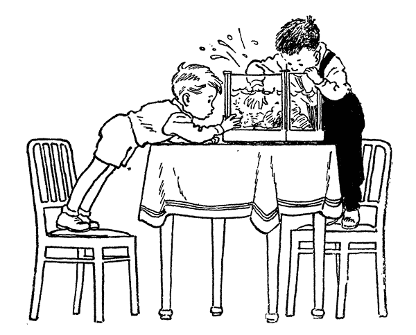 Раскраска к рассказу Карасик Носова