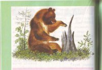 Сказка музыкант Бианки