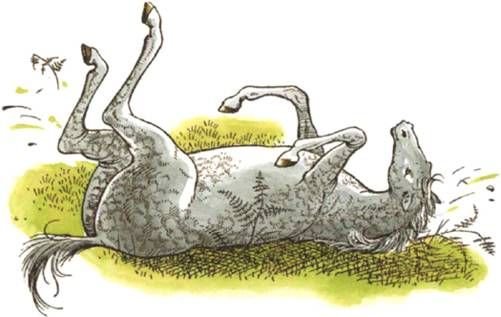 Конь мотылек Борис Сергуненков