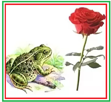 Сказка о жабе и Розе иллюстрации к сказке
