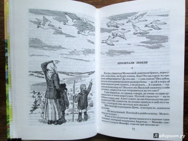 Рисунок Абрамова фёдора