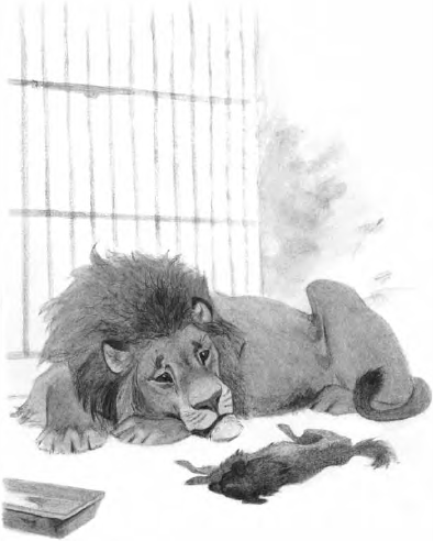 Быль л н Толстого Лев и собачка