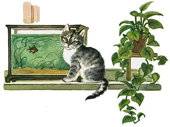 Николай Николаевич Носов Карасик