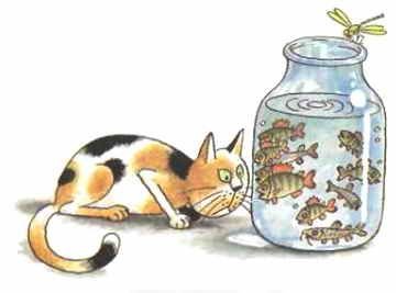 Рисунок к рассказу Карасик н.Носова