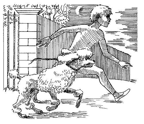 Иллюстрации к белому пуделю Куприна