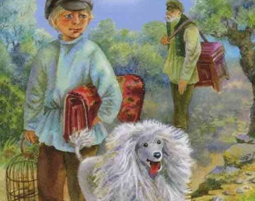 Белый пудель Арто