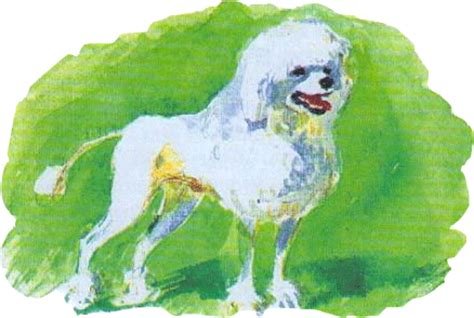 Белый пудель, Куприн а.