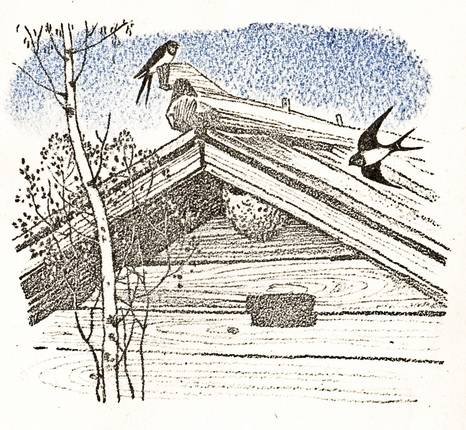 Иллюстрации к стихам Рубцова