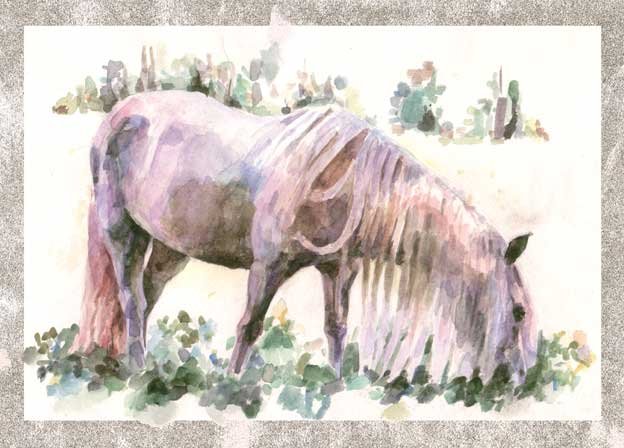 Розовая лошадь рассказ. Конь с розовой гривой. Розовый конь. Конь с розовой гривой иллюстрации. Розовый конь иллюстрация.