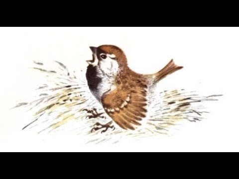 Иллюстрация к сказке Воробьишко для детей