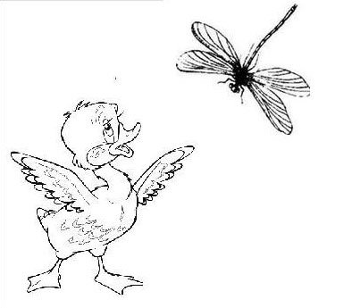 Храбрый утёнок Борис Житков