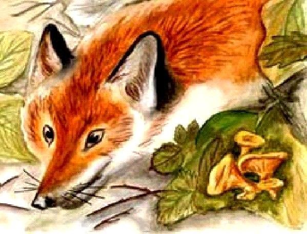 Лиса с грибами