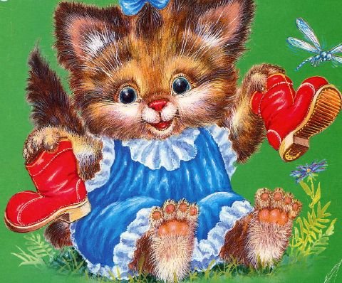 Я купила кошке к празднику сапожки