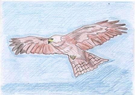 Иллюстрация к стихотворению с Поляны Коршун поднялся Тютчев