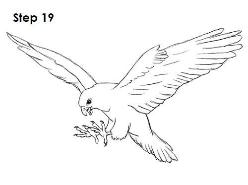 Ястреб рисунок карандашом для детей