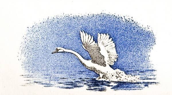 Лев Николаевич толстой лебеди