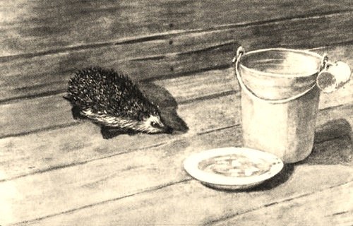 Михаил пришвин еж