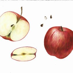 Мальчик и яблоня