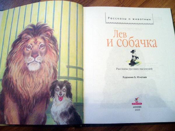 Иллюстрации к рассказу лев и собачка л н толстого (50 фото)