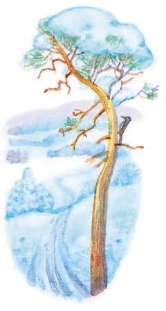 Иллюстрация к стихотворению Есенина пороша