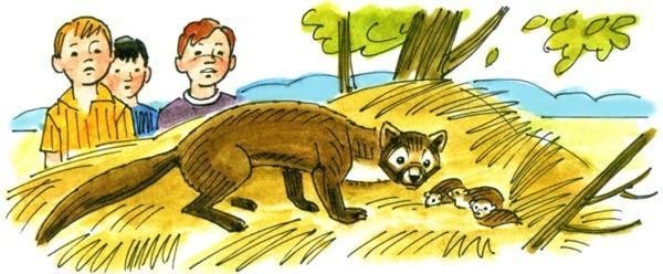 Астафьев Виктор "Белогрудка"