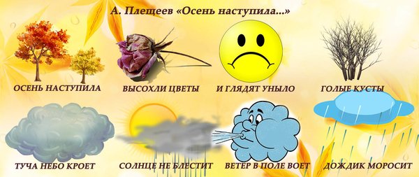 Осень наступила высохли цветы